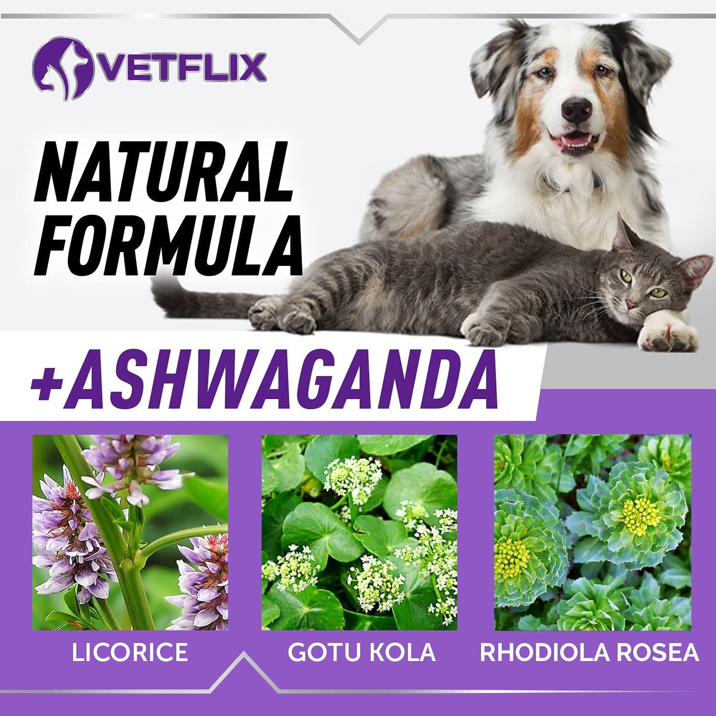 USA-Made Vetflix Pet Adrenal Support: Kidney & Cushings Treatment for Dogs & Cats