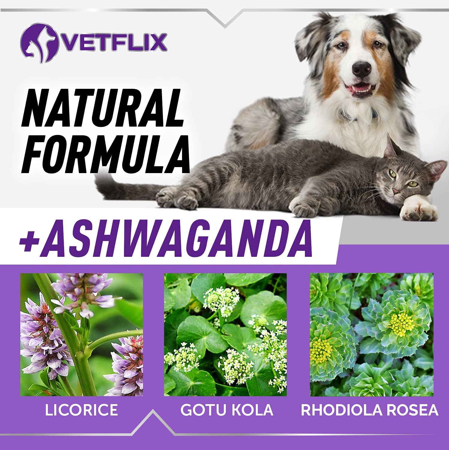 USA-Made Vetflix Pet Adrenal Support: Kidney & Cushings Treatment for Dogs & Cats