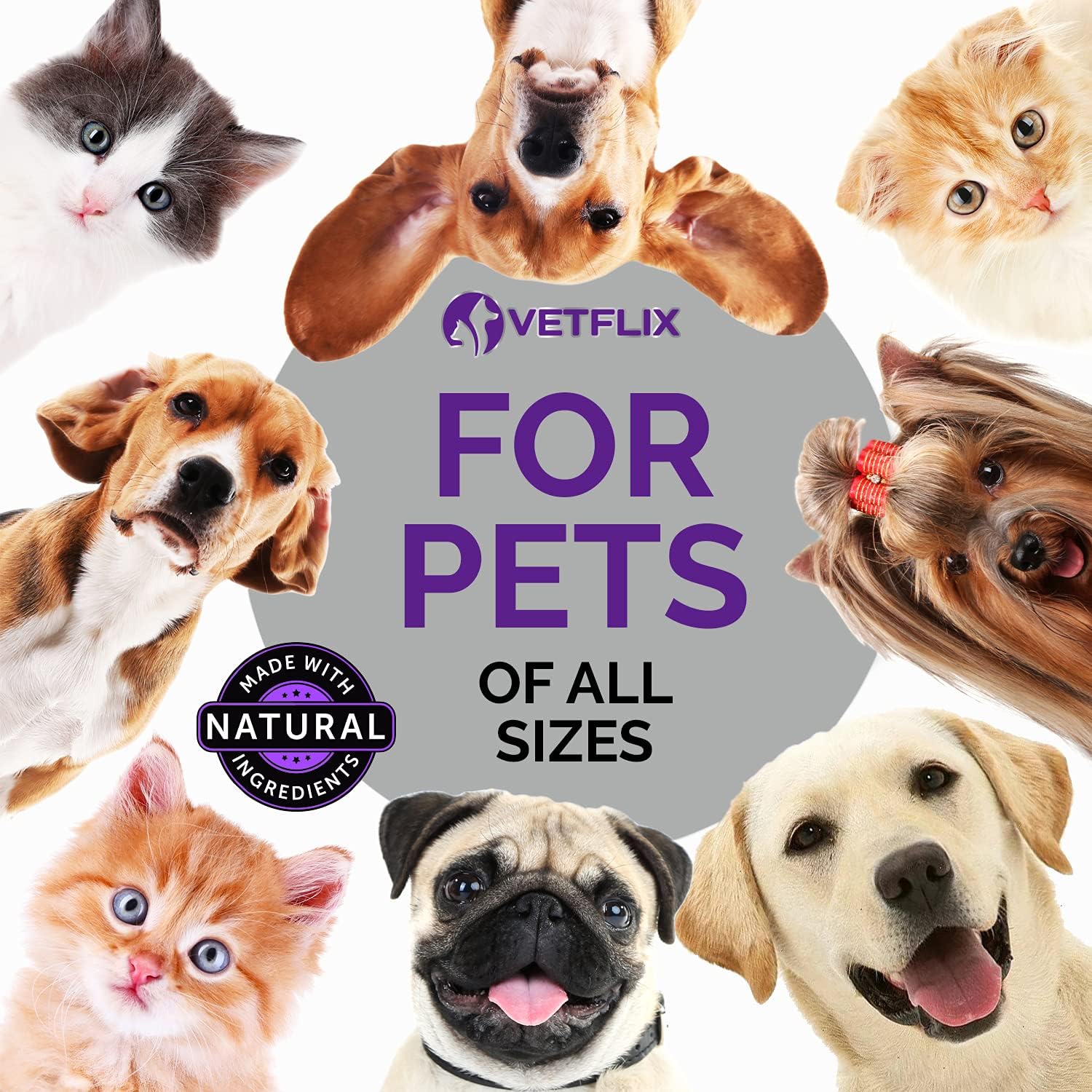 USA-Made Vetflix Pet Adrenal Support: Kidney & Cushings Treatment for Dogs & Cats