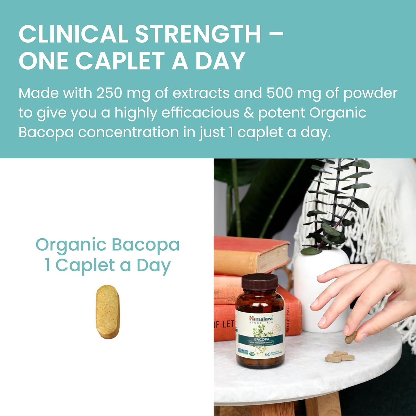 USDA Certified Organic Bacopa Monnieri Nootropic Supplement - 750mg Caplets for Memory & Cognition - Non-GMO - 60 Day Supply