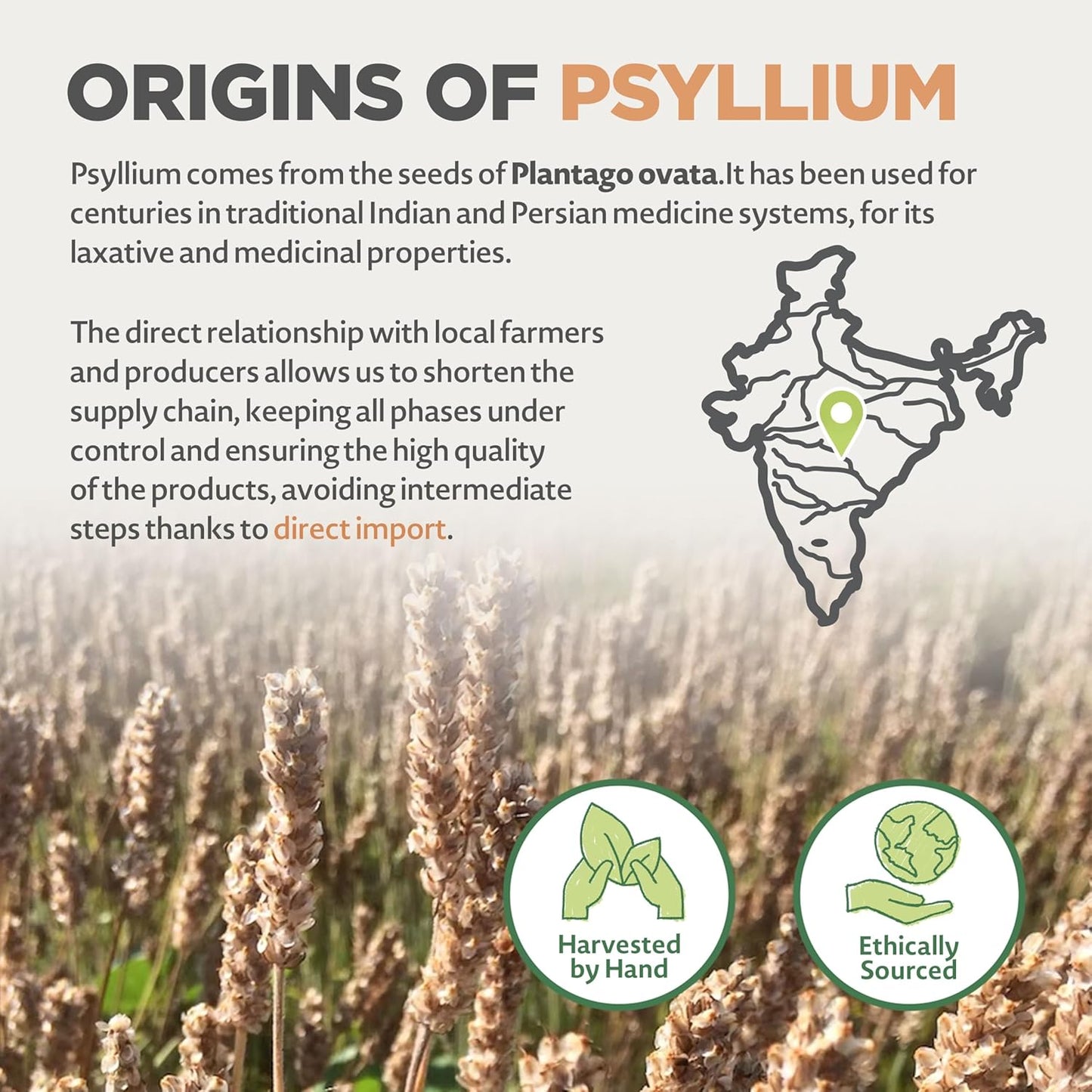 USDA Organic Certified Whole Psyllium Husk - 1.5lbs - 99% Pure Seed Husks - Fiber Supplement for Gluten Free, Keto, Paleo, Vegan Diets