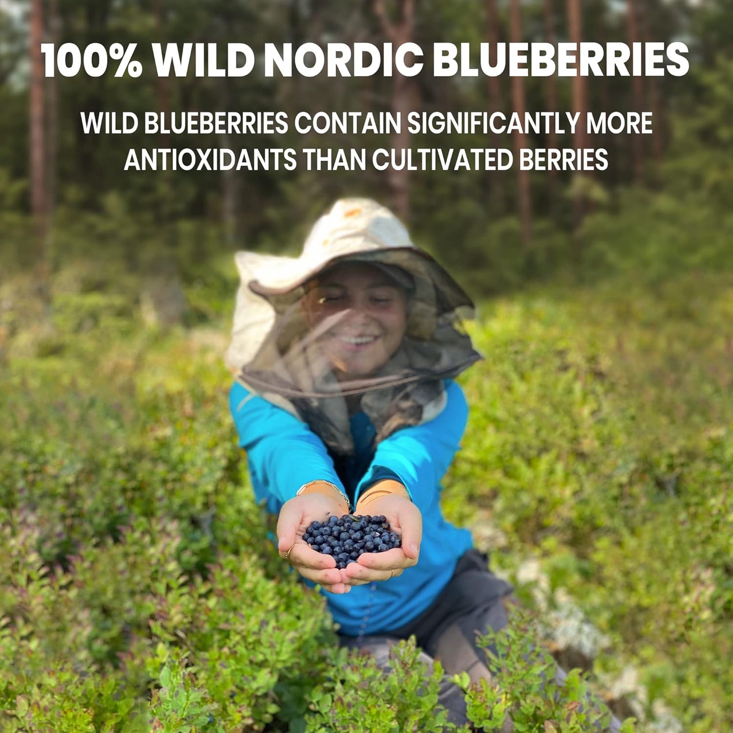 USDA Organic Wild Berry Powder Bundle for Baking & Eye Health - Bilberry, Blueberry, Raspberry Powder - Whole Berry Extracts for Eyes & Recipes