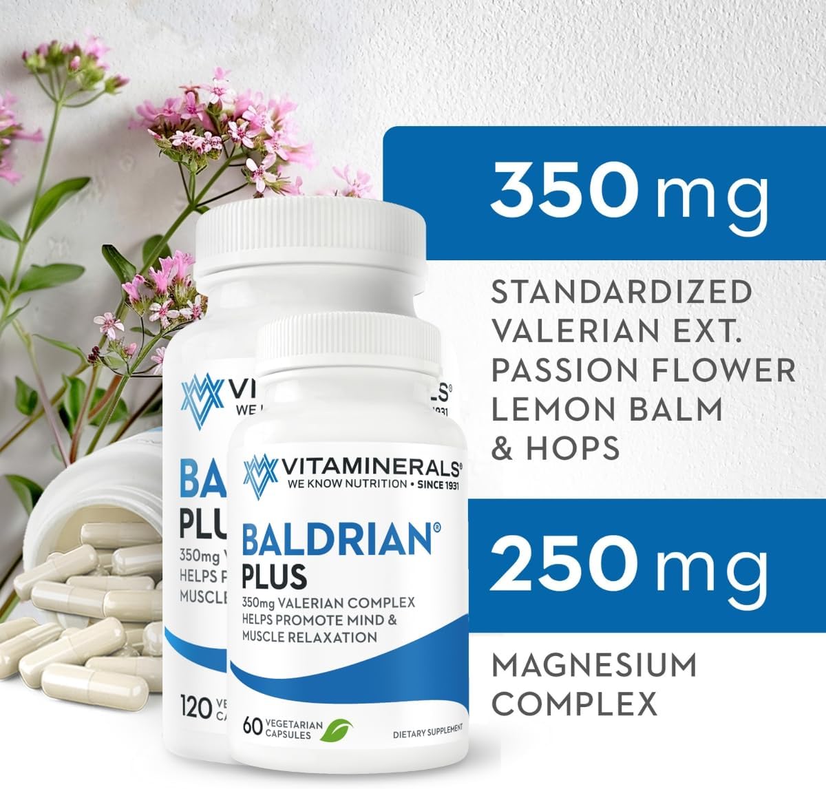 Valerian Root Extract Supplement for Natural Relaxation Support - 60 Capsules