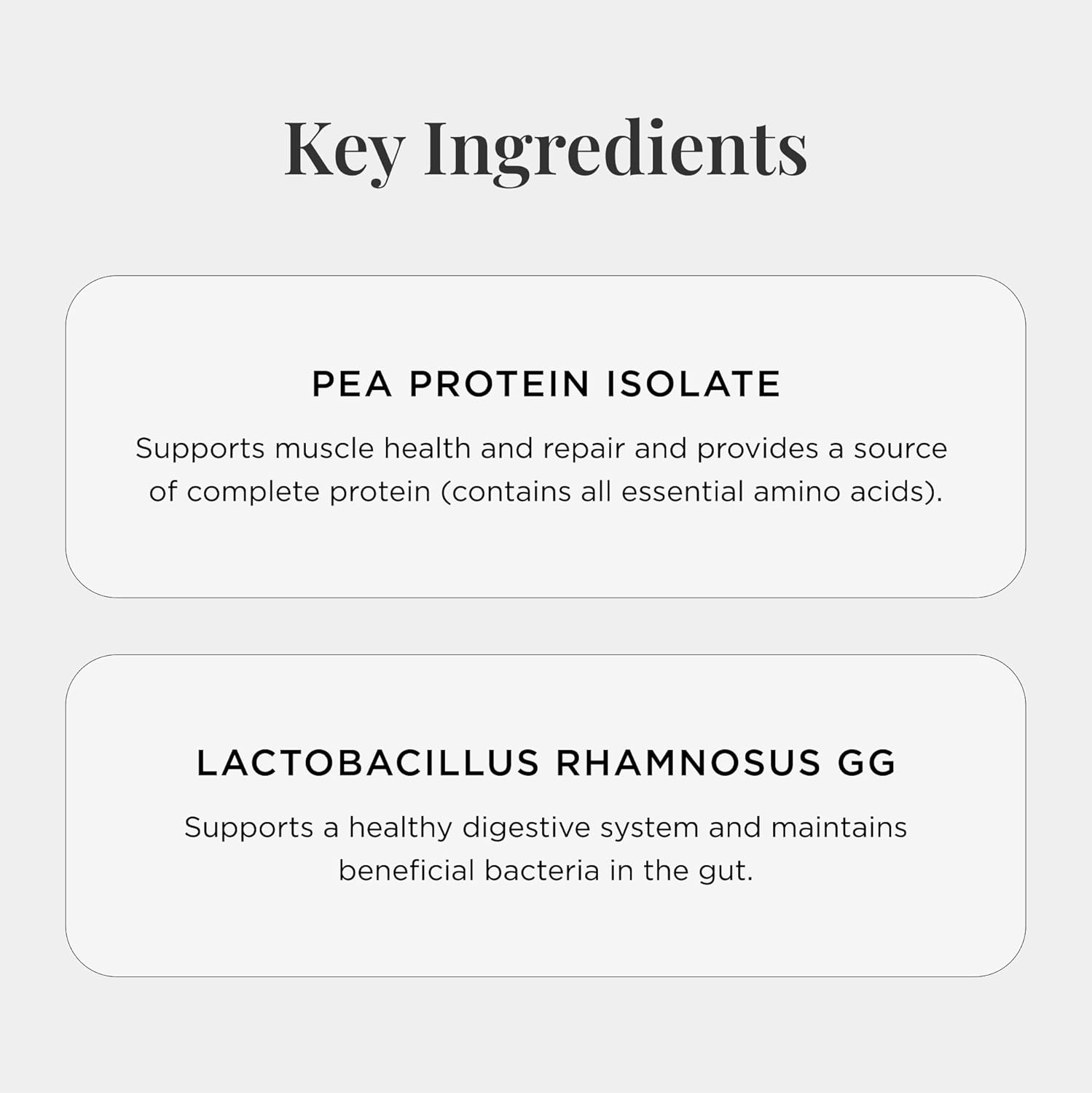 Vanilla Bean Flavored Vegan Pea Protein Powder with Probiotics - 300g, Gluten Free, Non GMO - Plant Based Protein Drink Mix