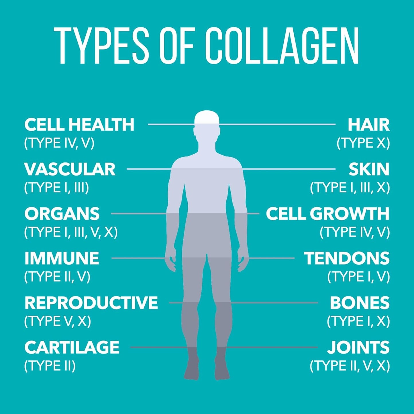 Vanilla Collagen Peptides Powder for Hair, Skin, Nails, Joints - Immune Support - Non-GMO, Gluten Free - 14 Servings