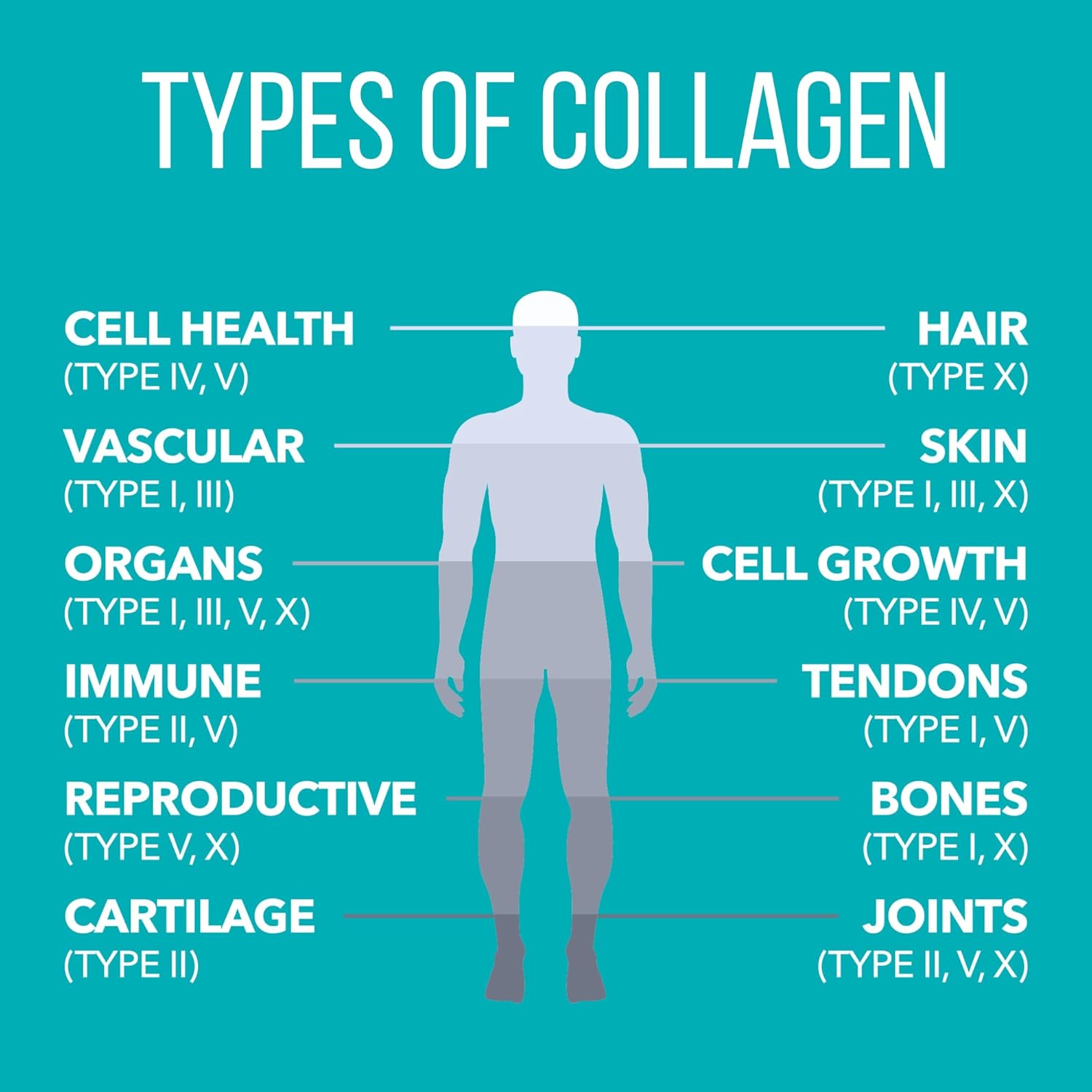 Vanilla Collagen Peptides Powder for Hair, Skin, Nails, Joints - Immune Support - Non-GMO, Gluten Free - 14 Servings