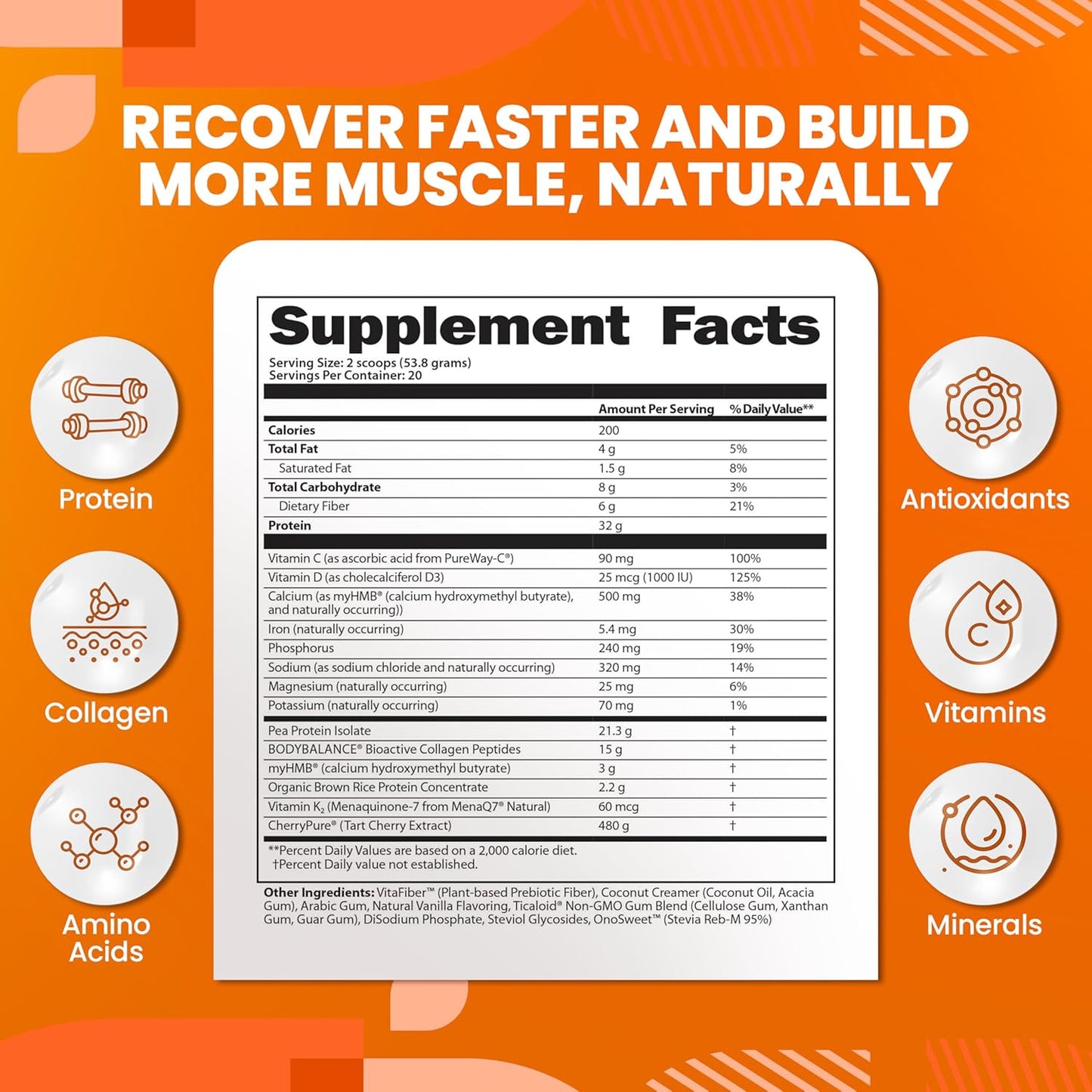 Vanilla Cream Protein Shake for Joints & Muscle Recovery with Collagen Peptides, HMB, Tart Cherry Extract, Pea Protein Isolate, and Prebiotic Fiber
