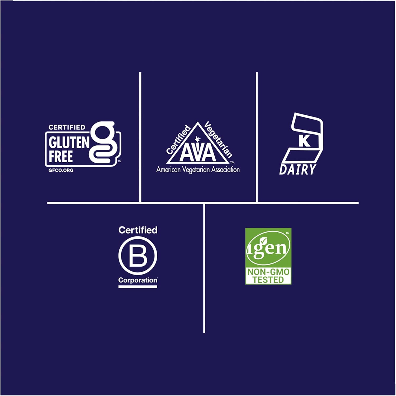 Vanilla Flavored Biochem 100% Whey Isolate Protein Powder - 48.5 oz - 20g Vegetarian Protein - Pre & Post Workout - Digestible - 45 Servings