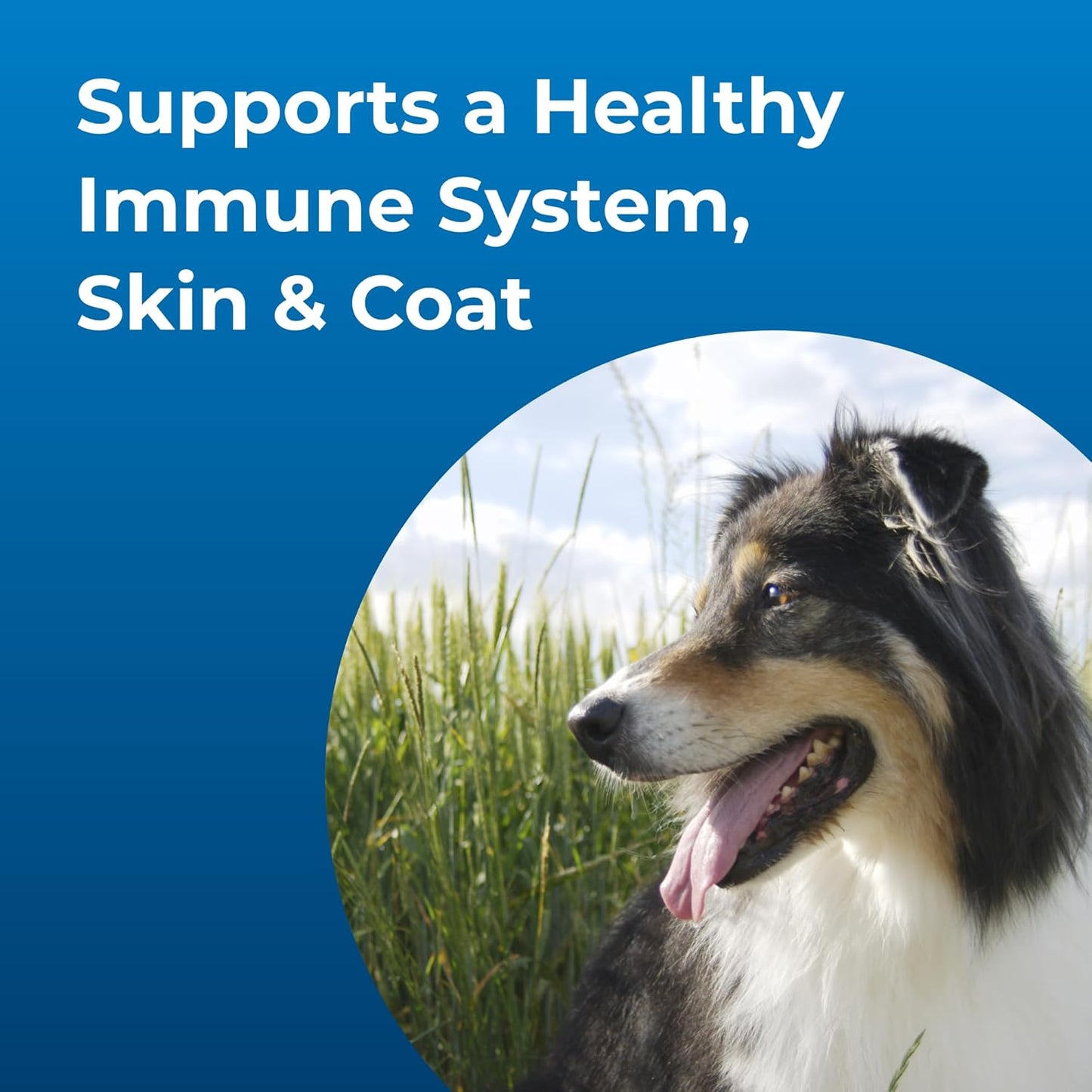 Vanilla Flavored High Calorie Liquid Supplement for Dogs 16 oz - Supports Performance & Endurance - For Puppies 8 Weeks+