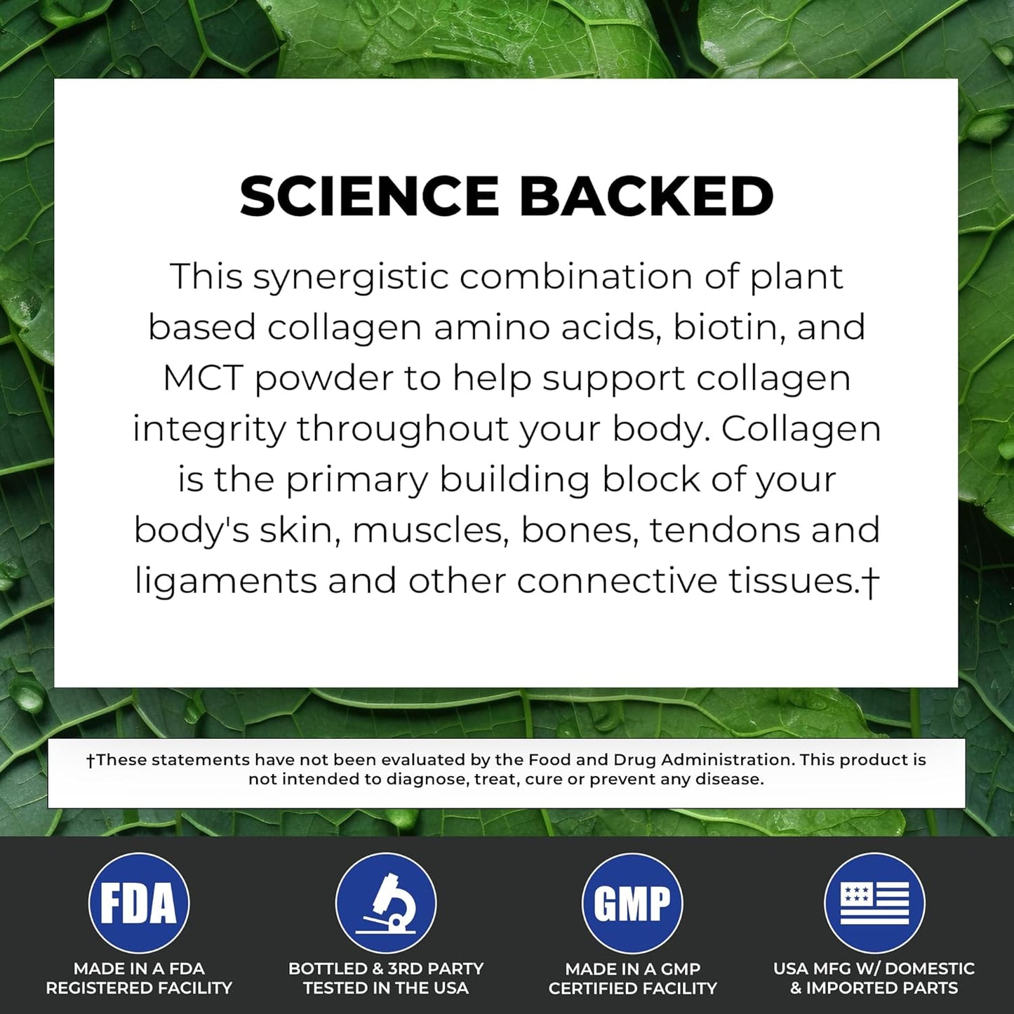 Vanilla Flavored POWERLIFE Power Life® Peak MCT Powder with Plant-Based Collagen & Biotin - 30 Servings