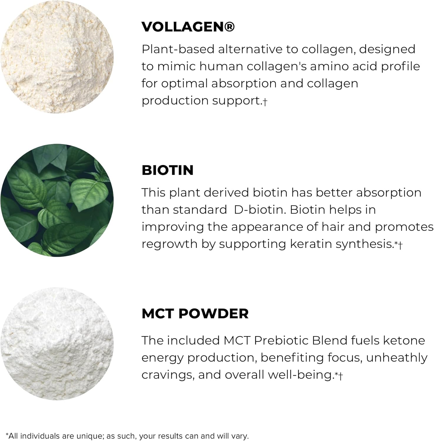 Vanilla Flavored POWERLIFE Power Life® Peak MCT Powder with Plant-Based Collagen & Biotin - 30 Servings