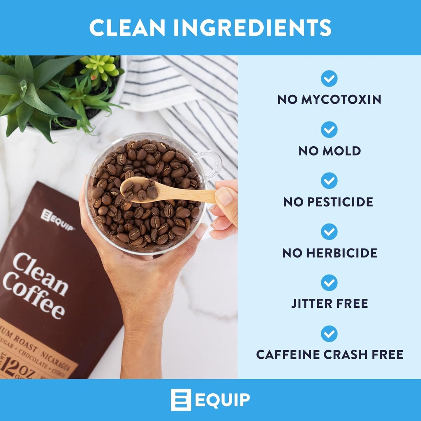 Vanilla Prime Protein Powder & Clean Coffee Bundle by Equip Foods