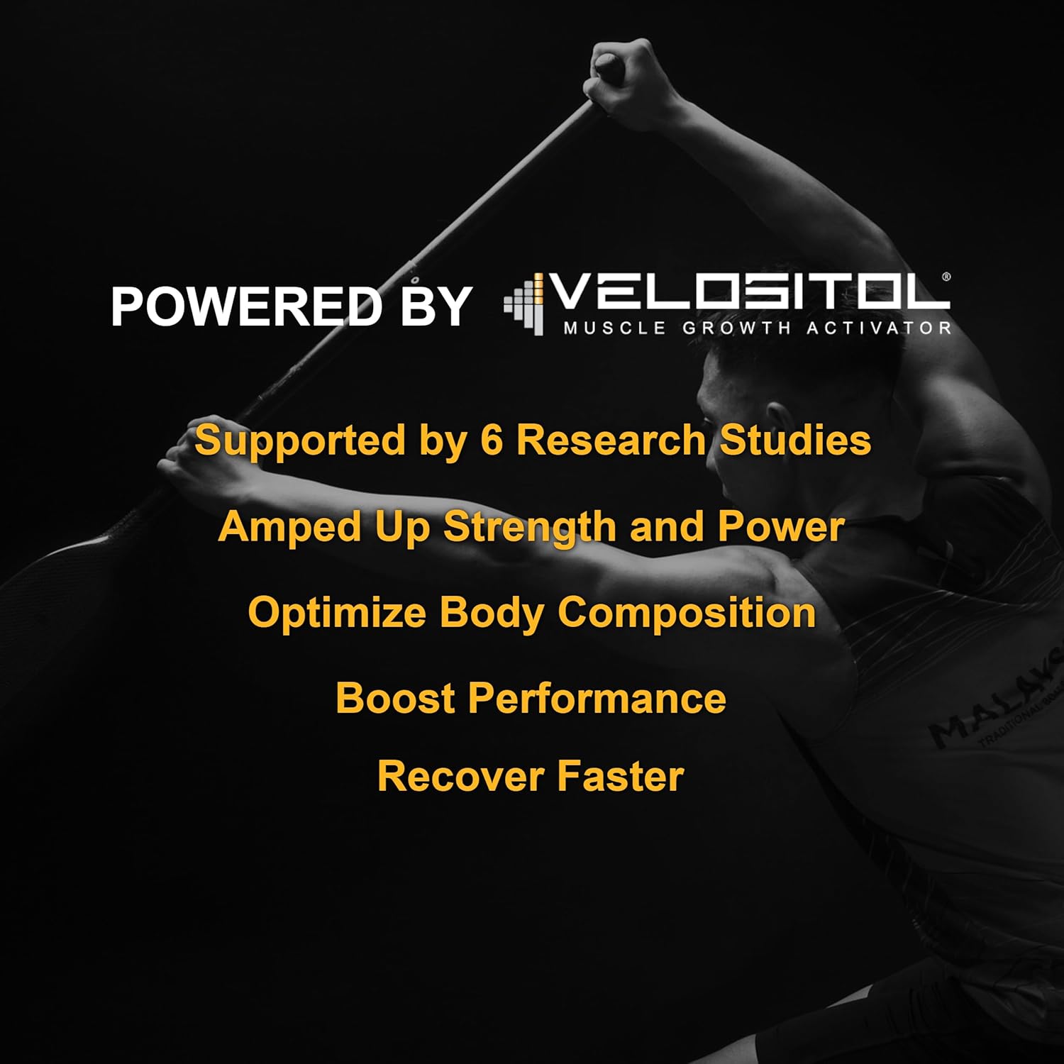 Vanilla Vegan Sport Protein Powder with VELOSITOL, BCAAs, Organic Greens & Fruits, Probiotics - 30g Plant Based Protein for Post Workout Recovery - Keto Certified - 20 Servings