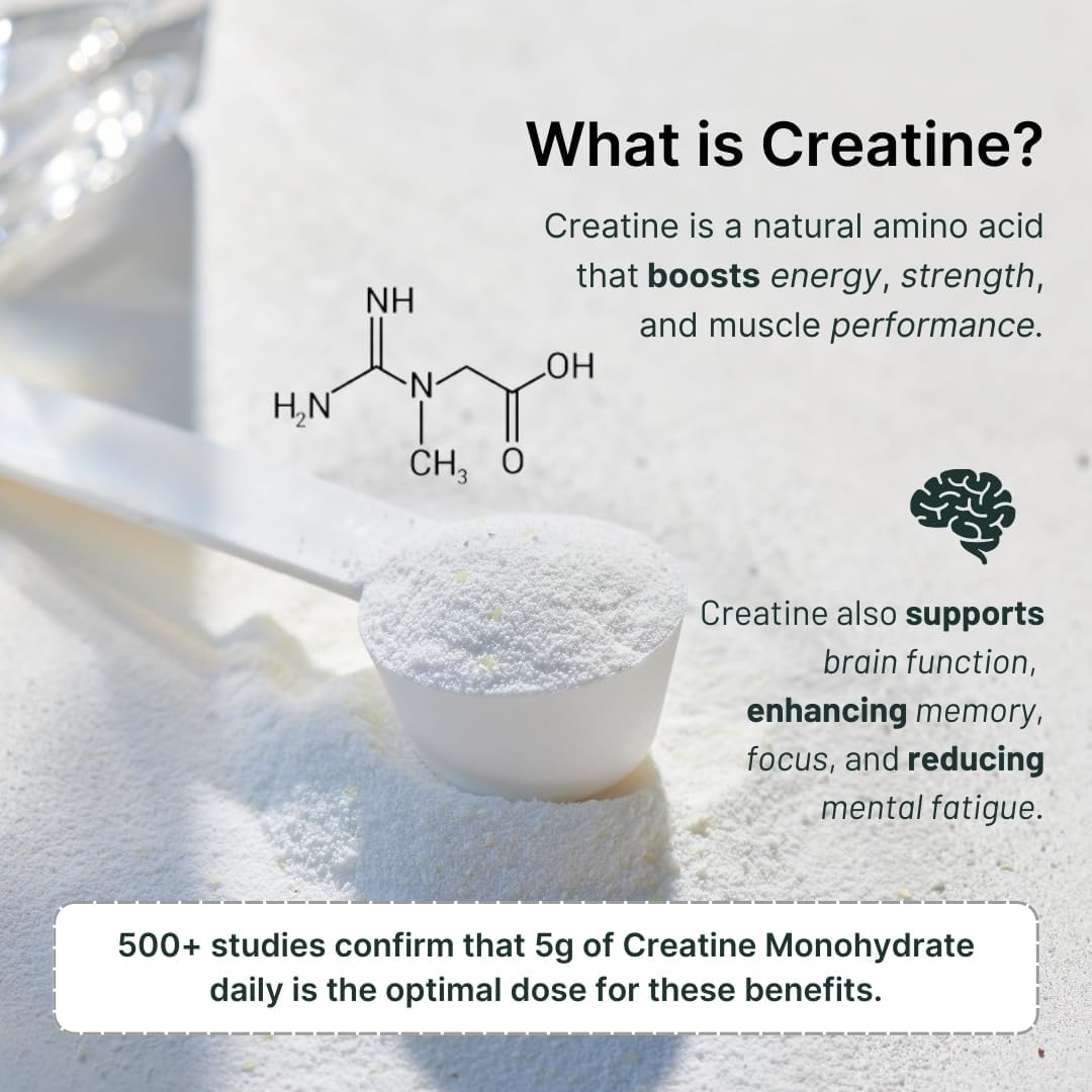Vanilla Whey Protein Powder with Creatine - 25g Protein, 5g Creatine - Single-Serve Travel Packets - Gluten-Free, No Sugar Added (30-Pack)