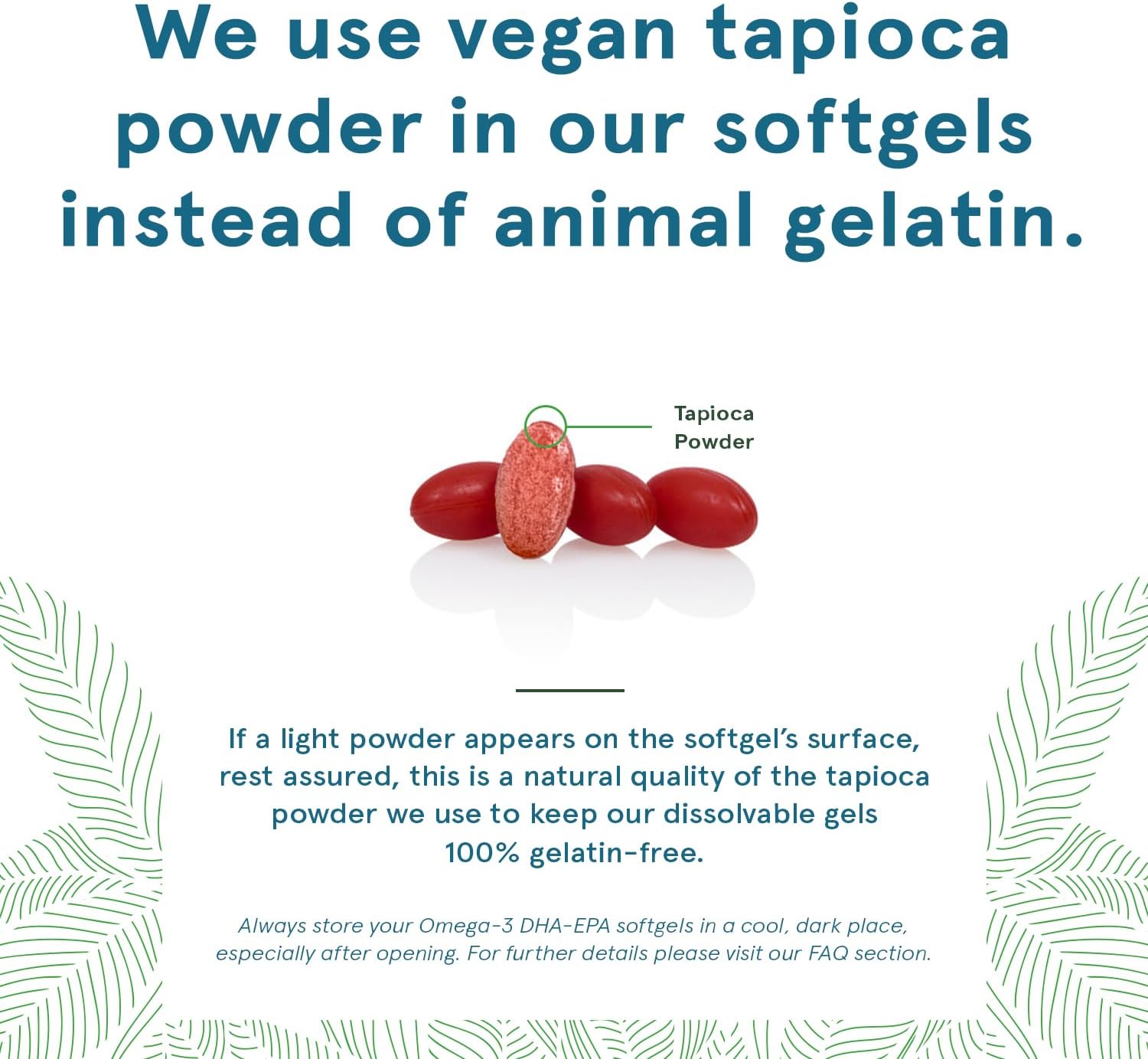 Vegan Algae Oil Omega-3 DHA EPA Supplement Softgels - 500 MG, Carrageenan & Gelatin Free, Non-Fish Source - 60 Count
