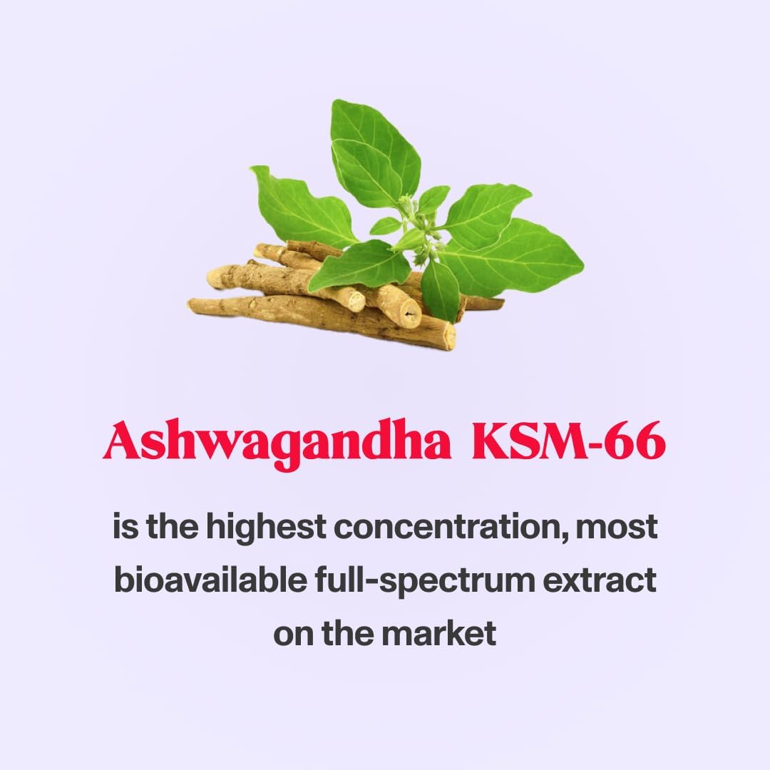 Vegan Ashwagandha Stress Relief Gummies with Lemon Balm Extract - Calm & Relax with KSM-66 - 60 Count Vegan Gummies for Anxiety Relief