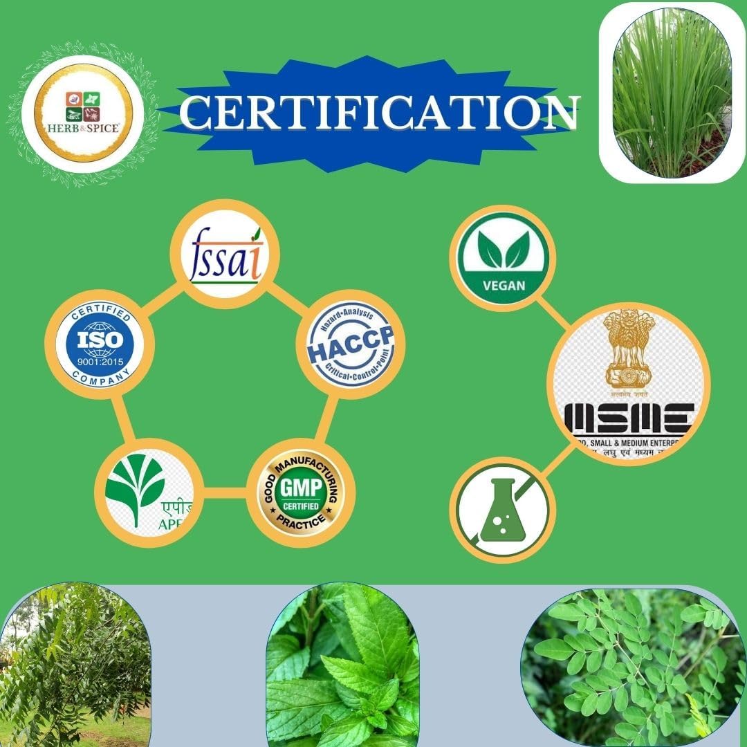 Vegan Ayurvedic Amla Powder with Holy Basil for Immune Support - Antioxidants, Vitamin C, Non-GMO, Kosher - 227g