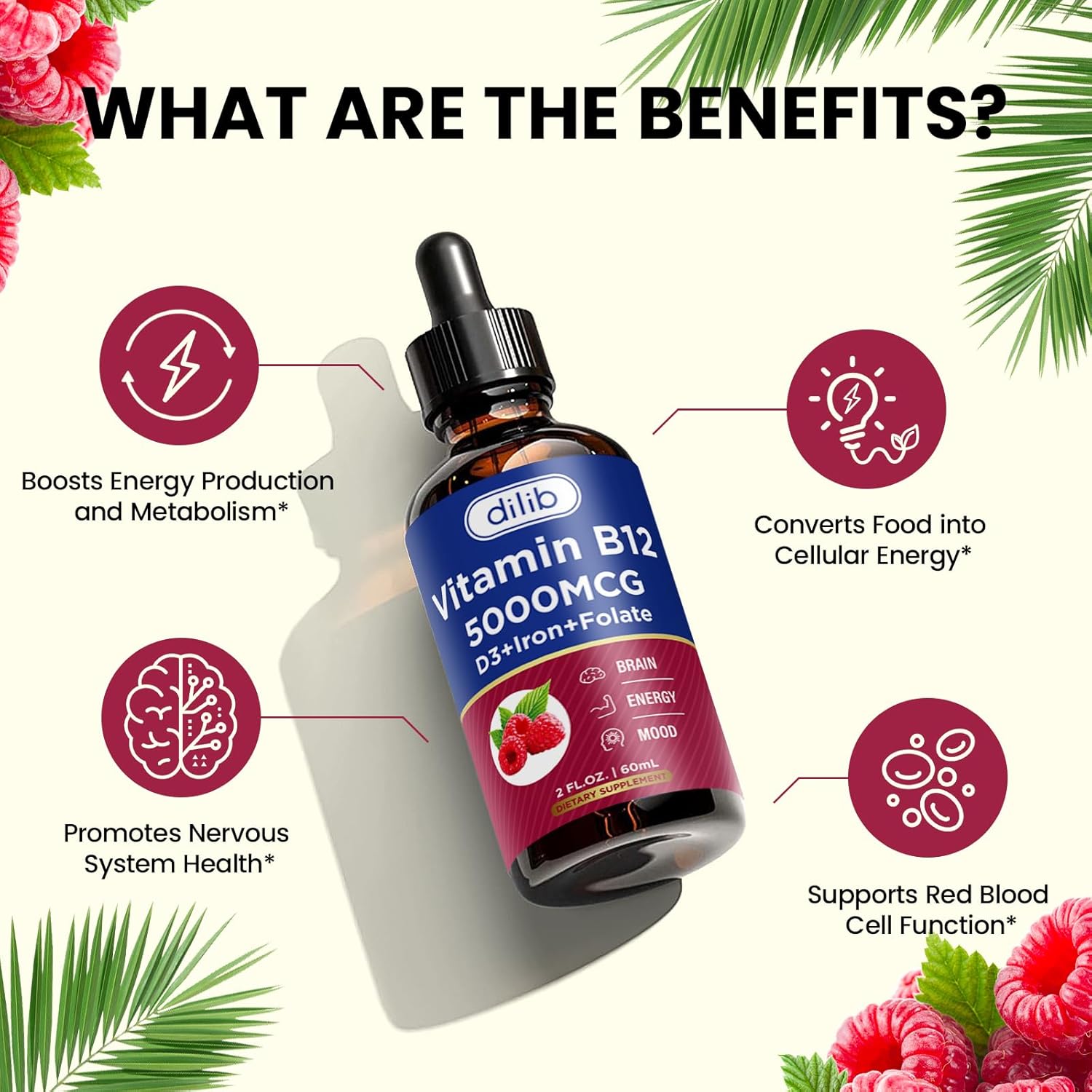 Vegan B12 Liquid Drops Supplement | Methylcobalamin with Folate, B6, C, D3 | 5000 mcg for Energy and Metabolism | Raspberry Flavor