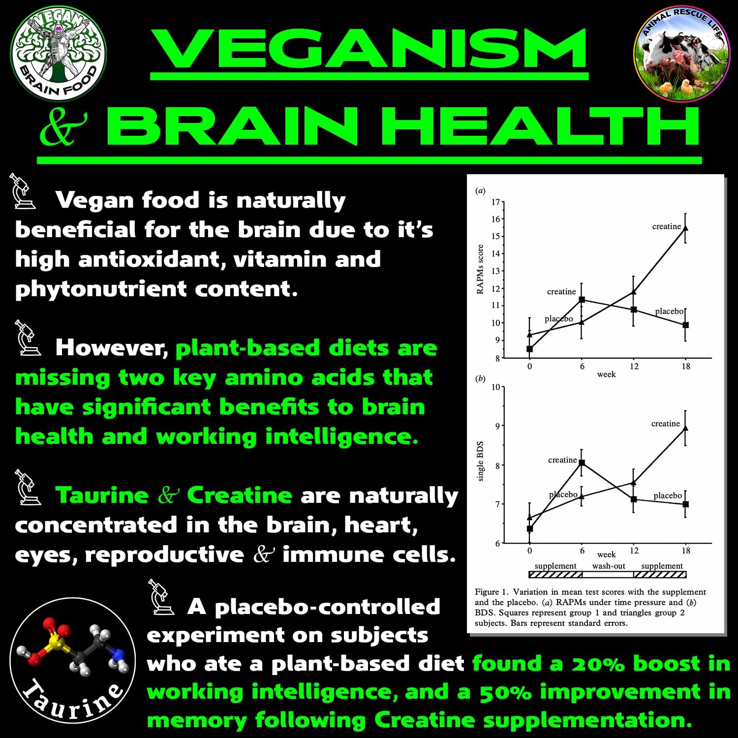 Vegan Brain & Body Boost Supplement: Plant-Based Nutrition for Working Intelligence, Anti-Aging, and Physical Fitness | 40 Servings/300g