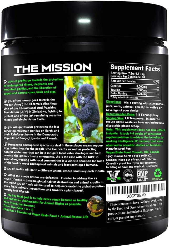 Vegan Brain & Body Boost Supplement: Plant-Based Nutrition for Working Intelligence, Anti-Aging, and Physical Fitness | 40 Servings/300g