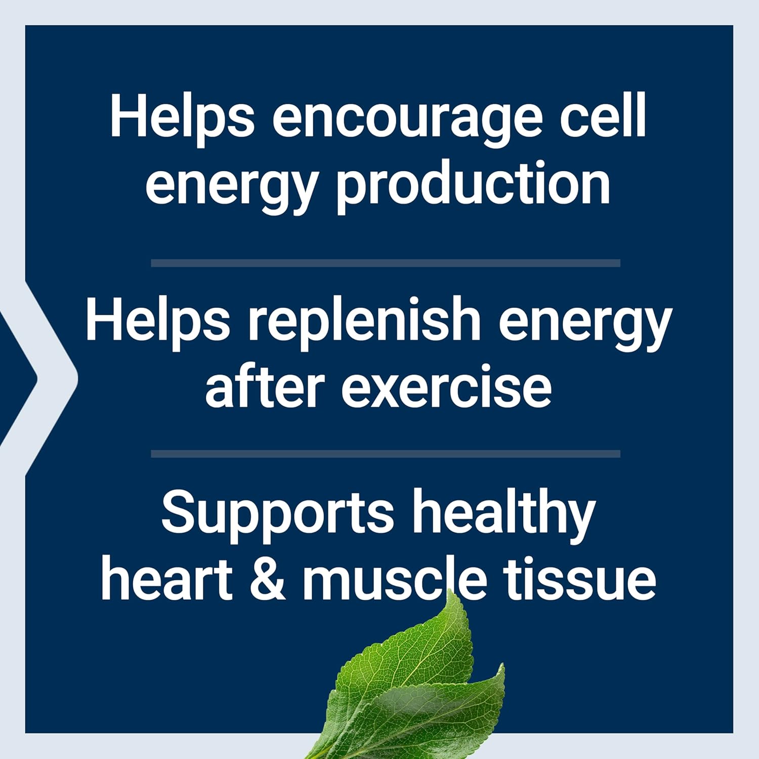 Vegan D-Ribose Tablets with Calcium for Healthy Energy Levels in Heart and Muscle - 100 Vegetarian Tablets
