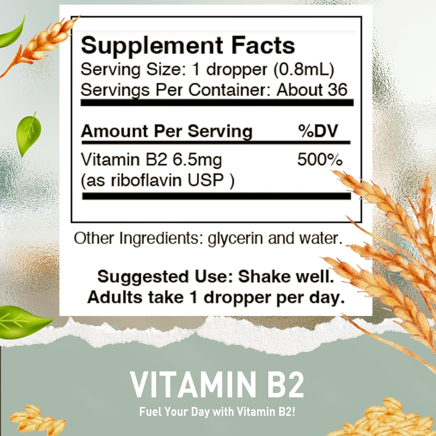Vegan High Potency Vitamin B1 & B2 Liquid Drops for Health, Digestion, Hair, Skin & Nails - Non-GMO, Alcohol-Free HoneyCombs