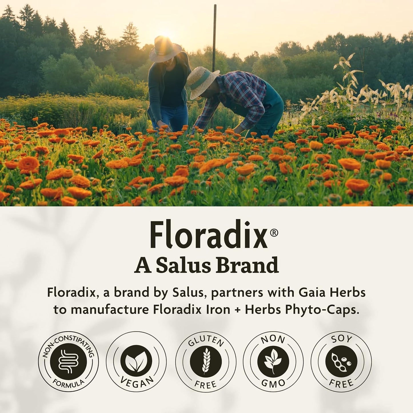 Vegan Iron Supplement with Herbs for Healthy Energy Support - Non-GMO, Gluten-Free, Soy-Free - 120 Liquid Capsules