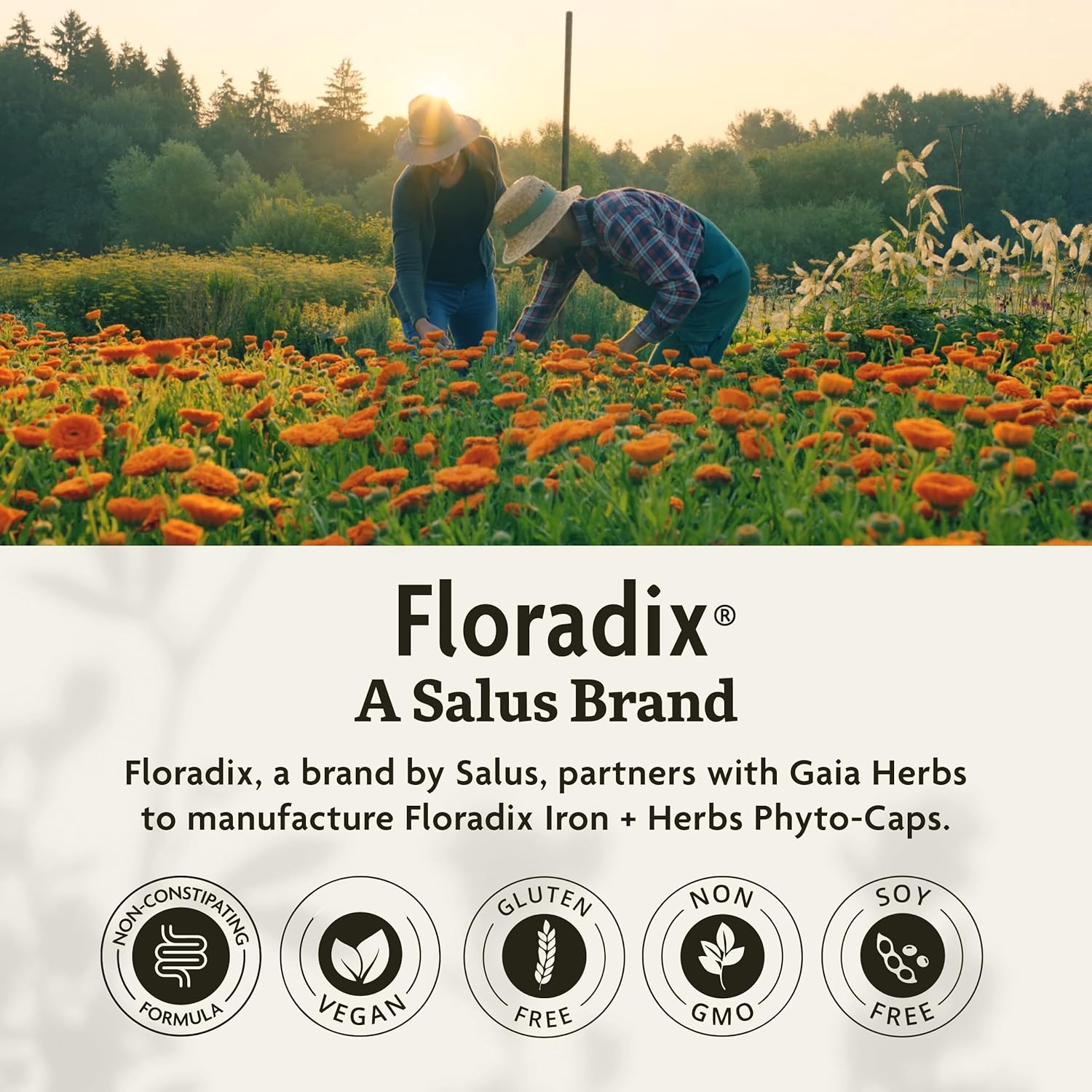 Vegan Iron Supplement with Herbs for Healthy Energy Support - Non-GMO, Gluten-Free, Soy-Free - 120 Liquid Capsules