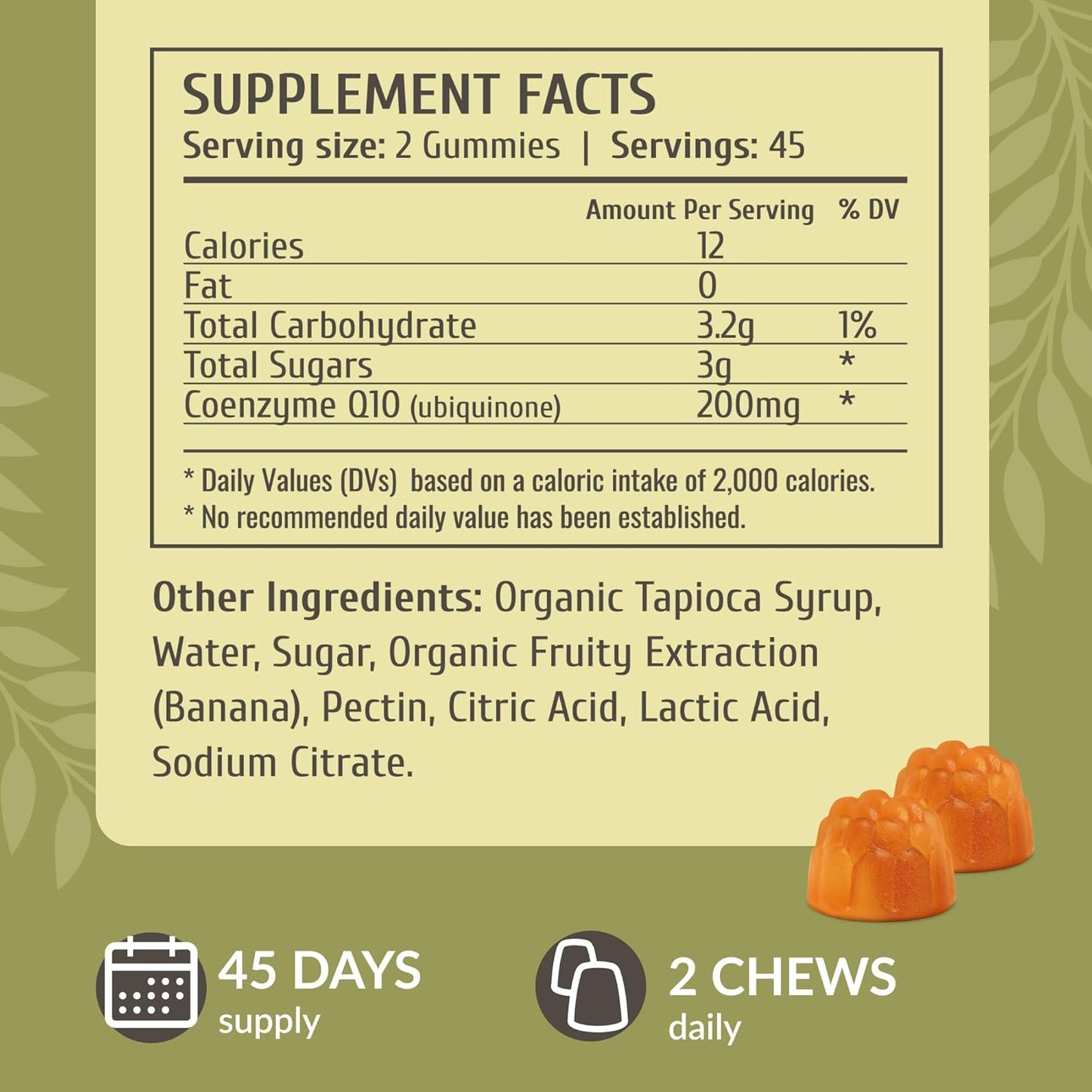 Vegan L-Carnitine and CoQ10 Gummy Bundle - 1500mg Acetyl L-Carnitine & 200mg Coenzyme Q10 - Non-GMO, Gelatin-Free - 2 Pack