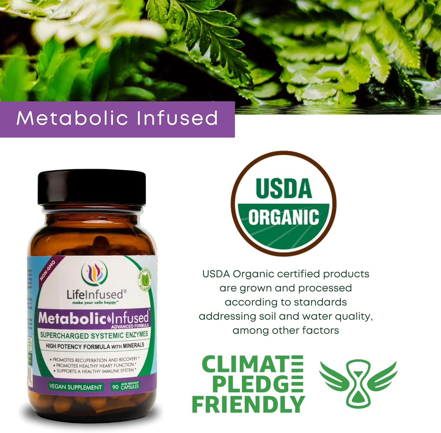 Vegan Life Infused Metabolic Support with 11 Enzymes & 72 Minerals for Immune Health - 90 Servings