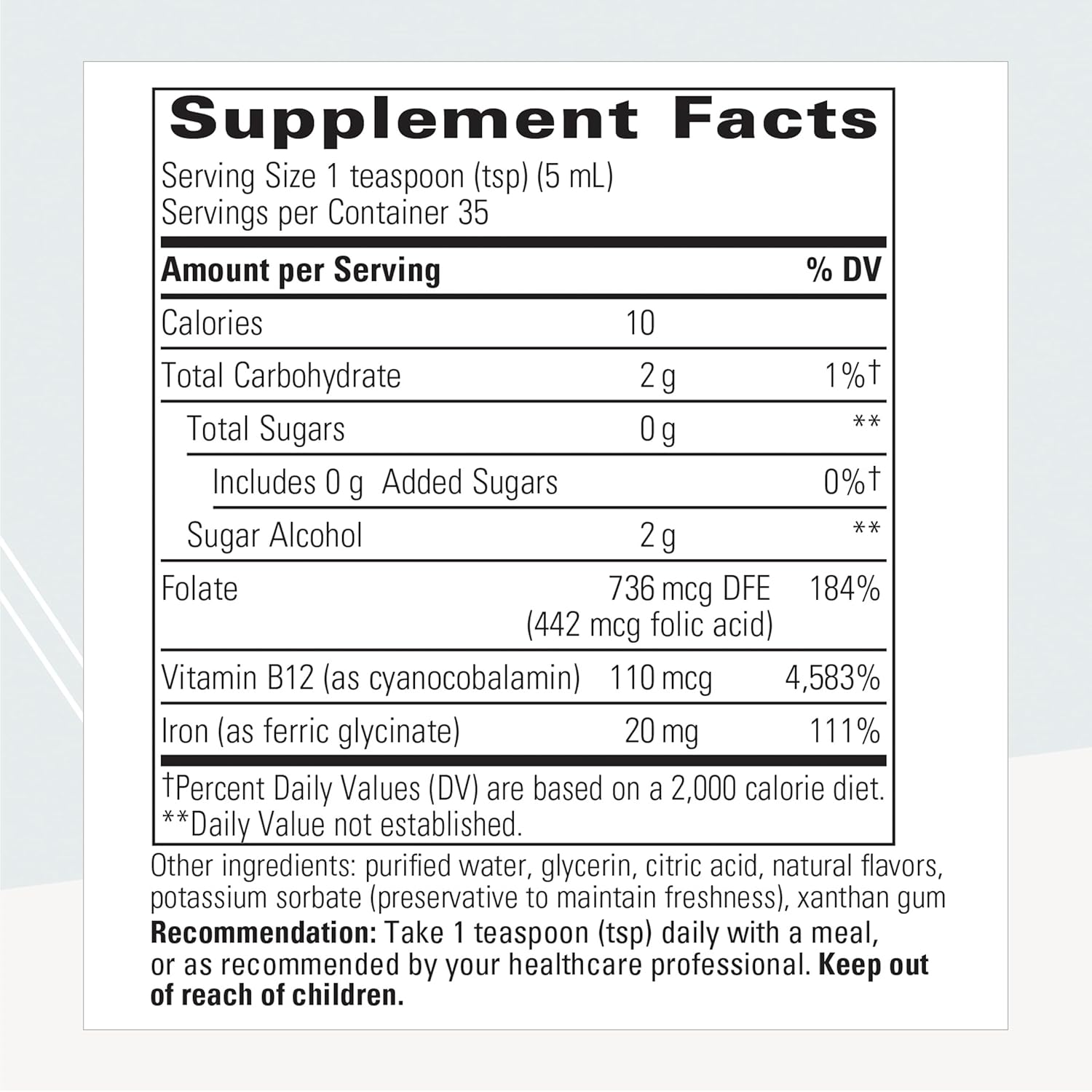 Vegan Liquid Iron Supplement with Vitamin B12 and Folate for Energy Support - Gluten-Free & Dairy-Free - Apple Cinnamon Flavored - 6 fl oz