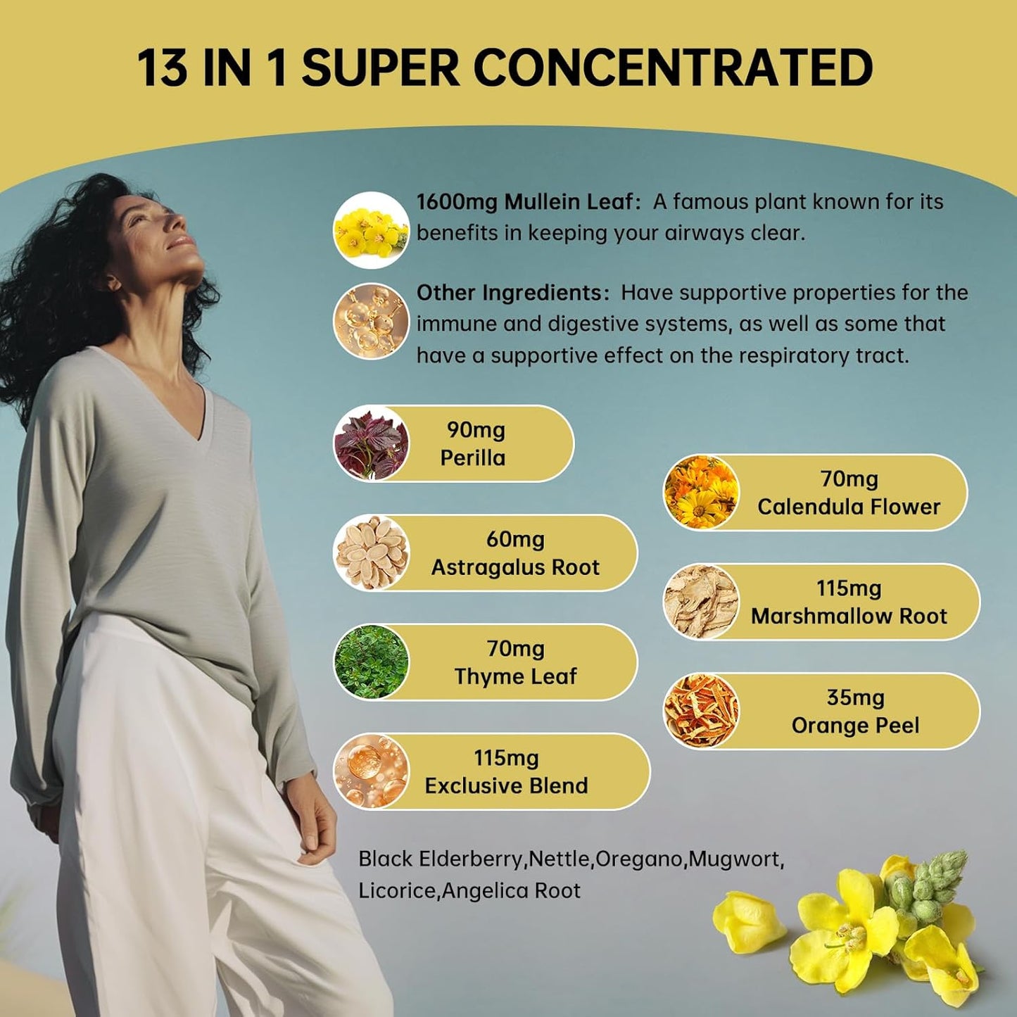 Vegan Mullein Leaf Extract Drops 480,000mg for Lung Detox & Cleanse - 13-in-1 Formula (2 Pack)