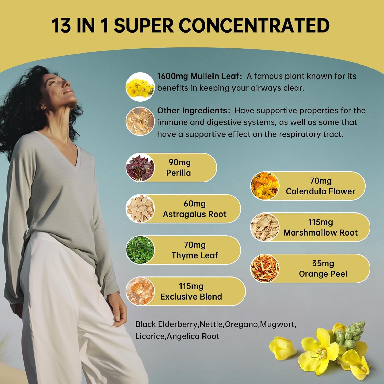 Vegan Mullein Leaf Extract Drops 480,000mg for Lung Detox & Cleanse - 13-in-1 Formula (2 Pack)