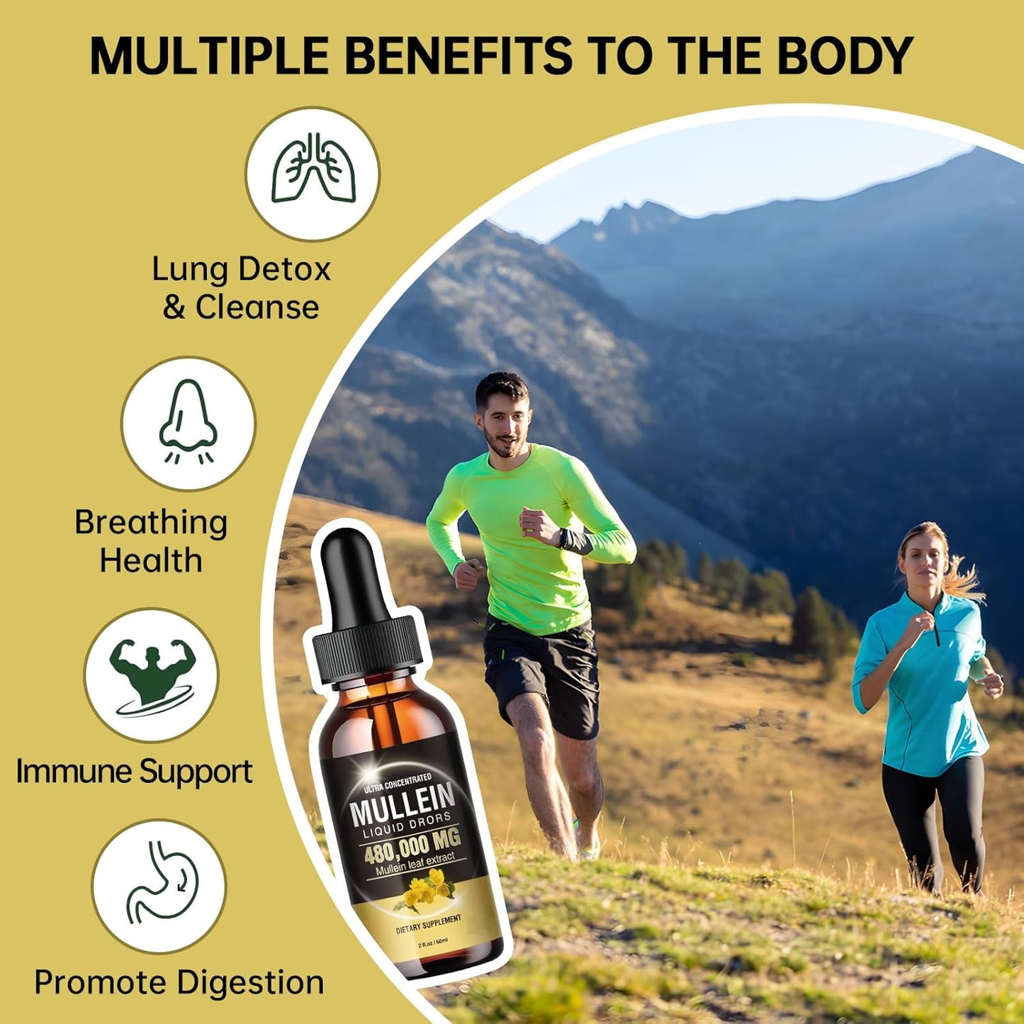 Vegan Mullein Leaf Extract Drops 480,000mg for Lung Detox & Cleanse - 13-in-1 Formula (2 Pack)