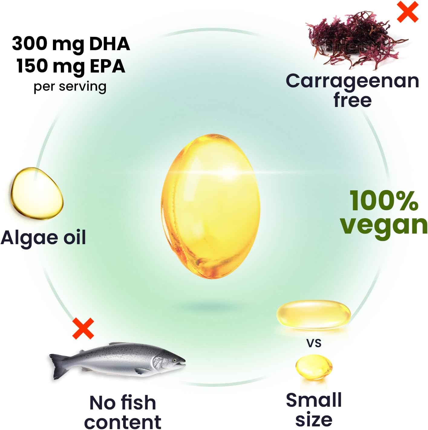 Vegan Omega-3 DHA & EPA Supplement - Algae Oil 1000mg - Heart, Brain, Joint, Immune Support - 30 Count Pack