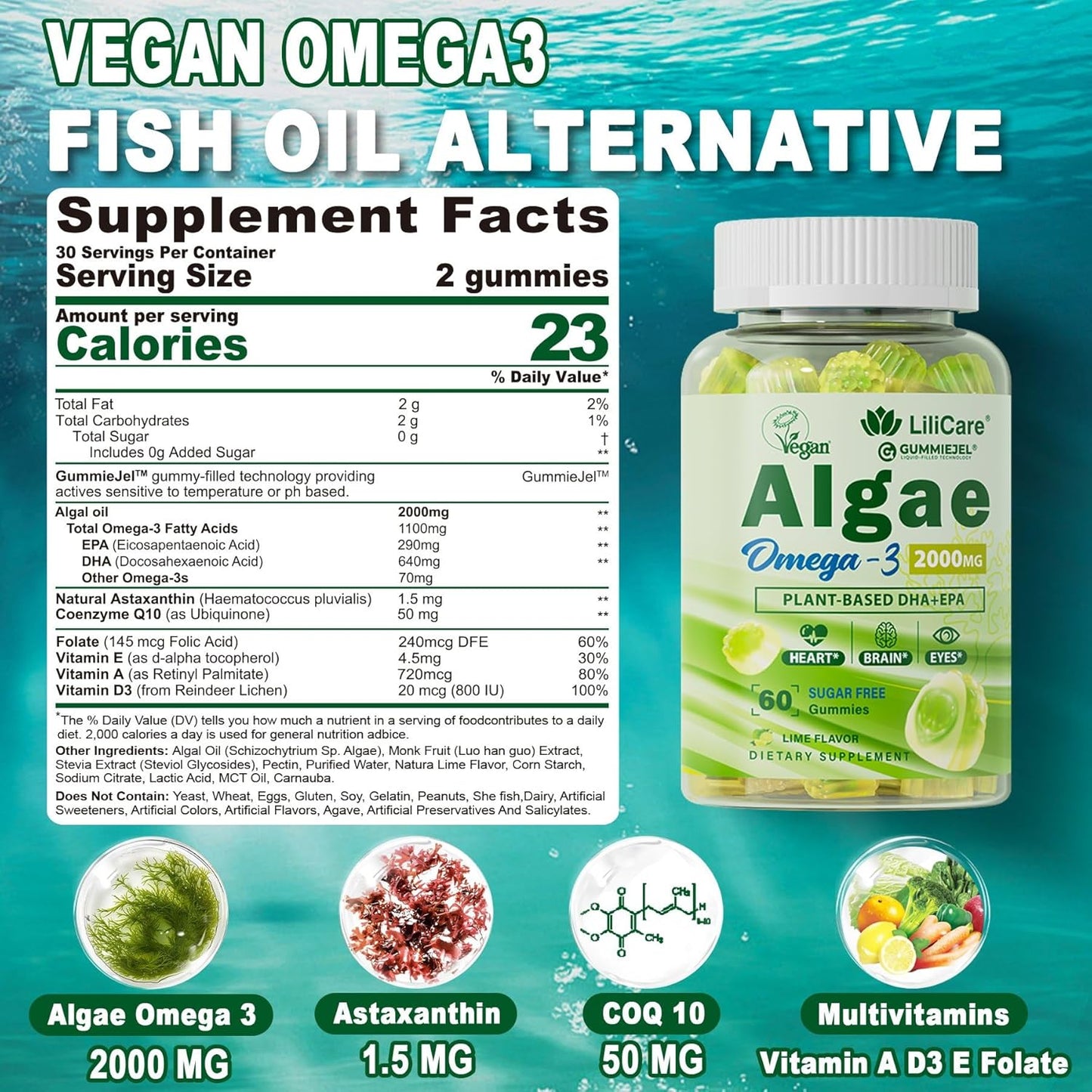 Vegan Omega 3 Gummies with DHA, EPA, CoQ10, Astaxanthin, Vitamin E, A, D3 - Brain, Eye, Bone Support - Sugar Free - 120 Count