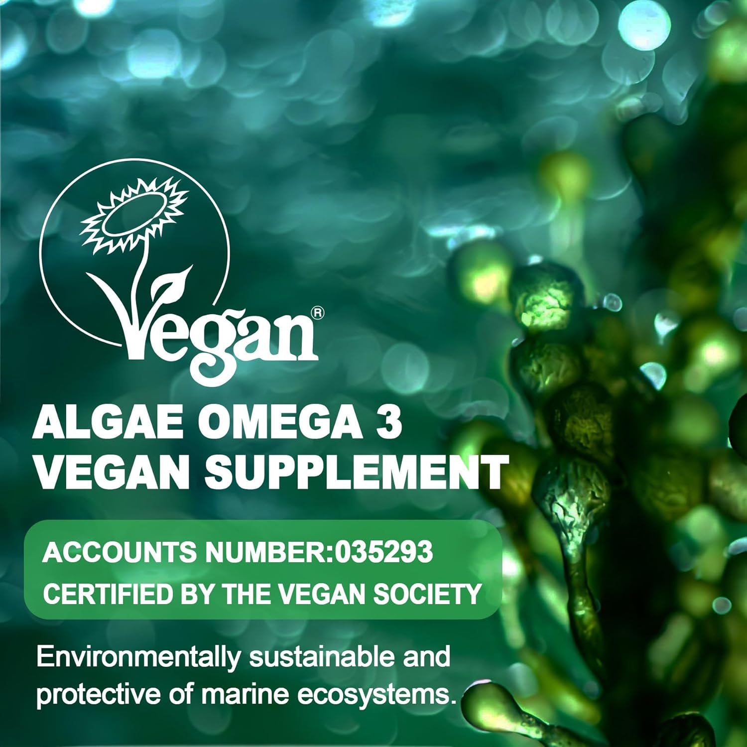 Vegan Omega 3 Gummies with DHA, EPA, CoQ10, Astaxanthin, Vitamin E, A, D3 - Brain, Eye, Bone Support - Sugar Free - 120 Count