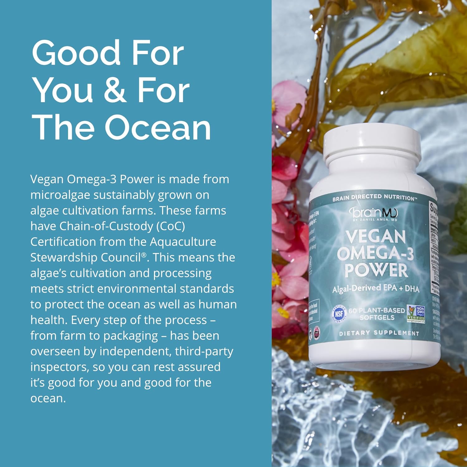 Vegan Omega-3 Power Softgels - 60 Plant-Based Capsules - 1,100 mg EPA & DHA - Supports Focus, Memory, Heart Health - Vegan, Gluten-Free, Non-GMO - 30 Servings