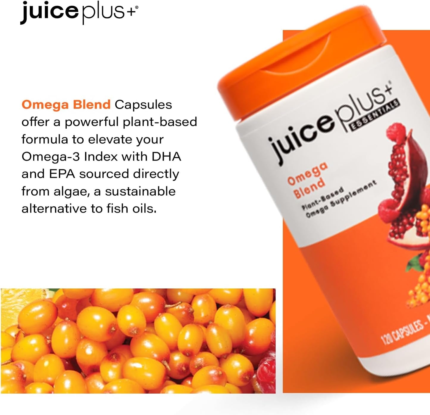 Vegan Omega Blend Capsules with DHA, ALA & EPA - No Fish, No Aftertaste - Algae & Seed Omega 3, 5, 6, 7 & 9 Fatty Acids for Brain & Vision - 120 ct.