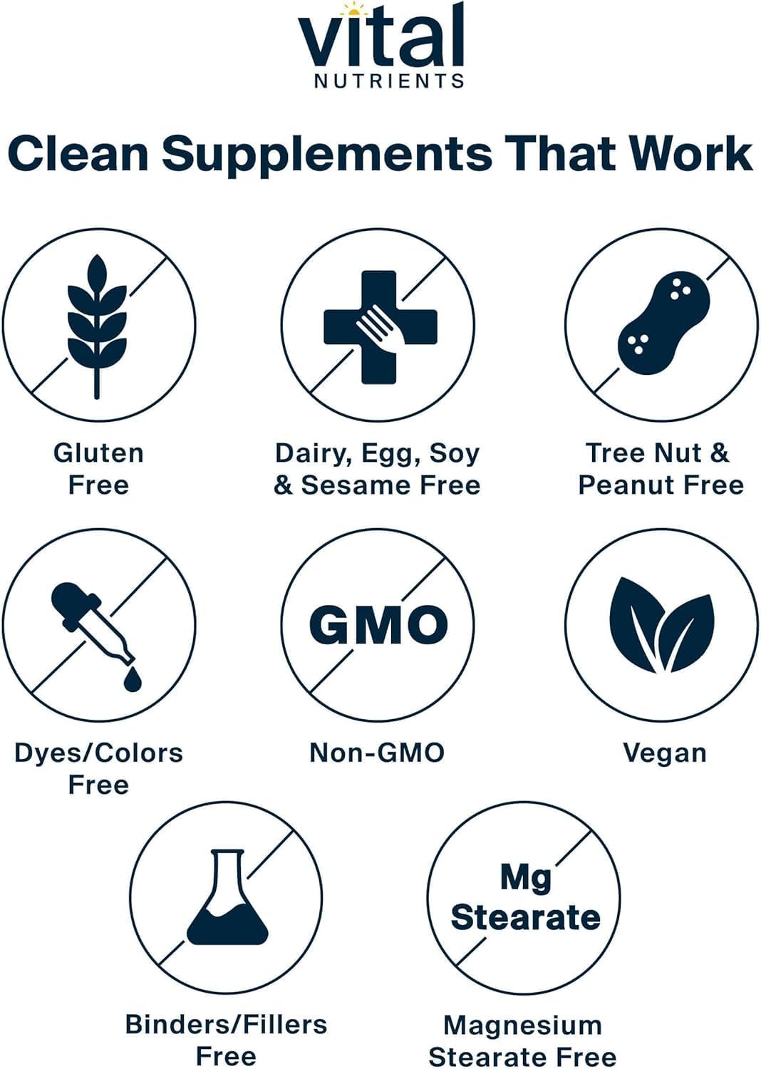 Vegan Once Daily Multivitamin for Men & Women | Allergen-Free | 19 Essential Vitamins + Antioxidants | Eye & Heart Health | Gluten, Dairy & Soy-Free | 60 Capsules