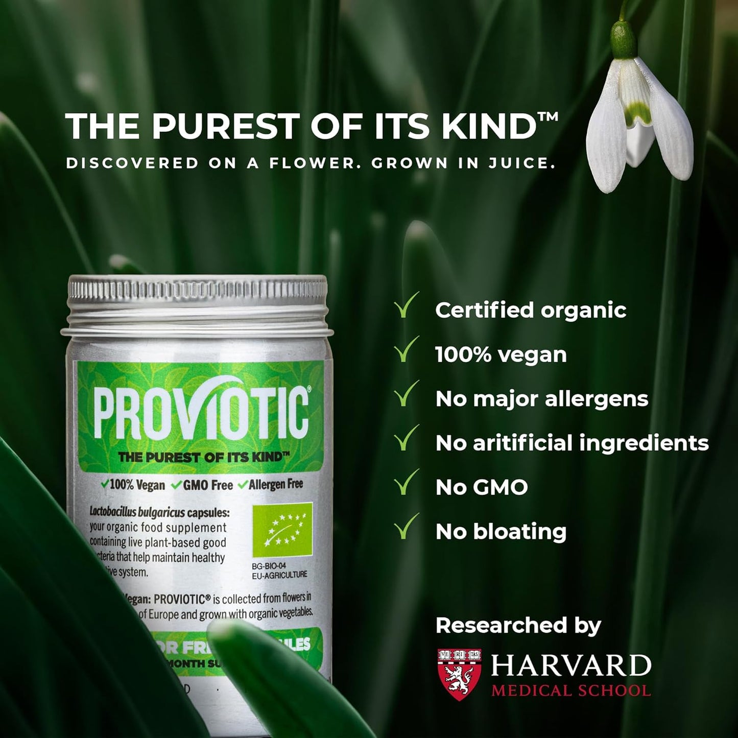 Vegan Probiotic Supplement for Digestive Health and Immune Support - 30 Count Pack - Anti Bloating Formula for Men and Women