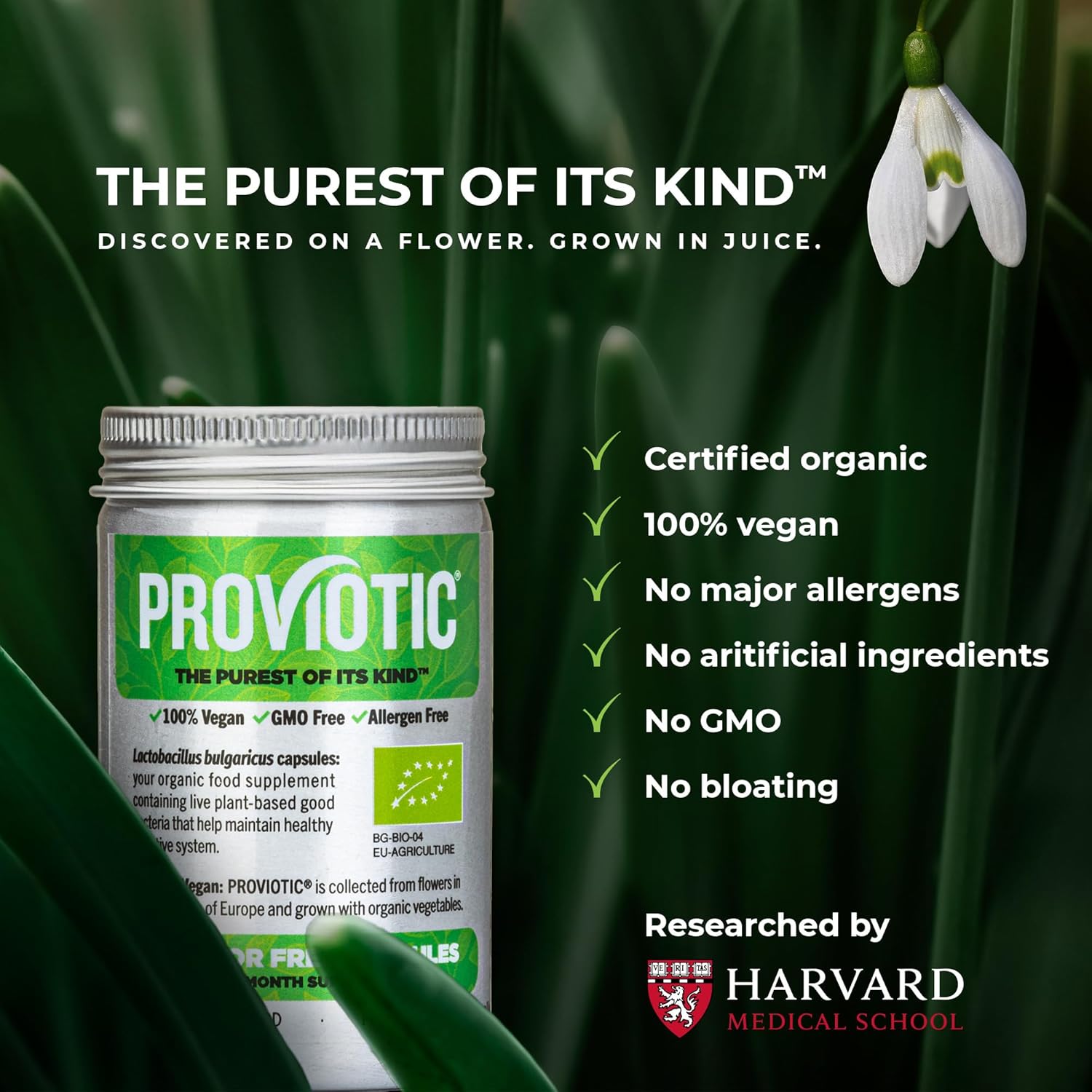 Vegan Probiotic Supplement for Digestive Health and Immune Support - 30 Count Pack - Anti Bloating Formula for Men and Women