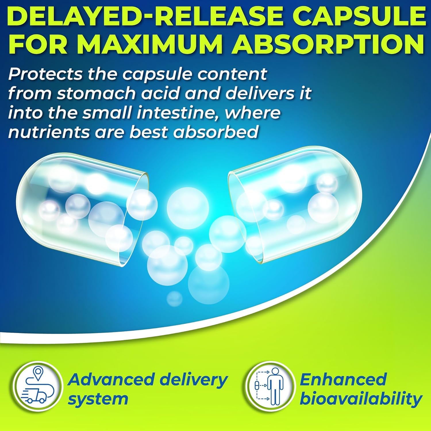 Vegan Probiotics with Enzymes and Prebiotic, 3-in-1 Digestive Support Bundle with Plant-Based Calcium 500mg