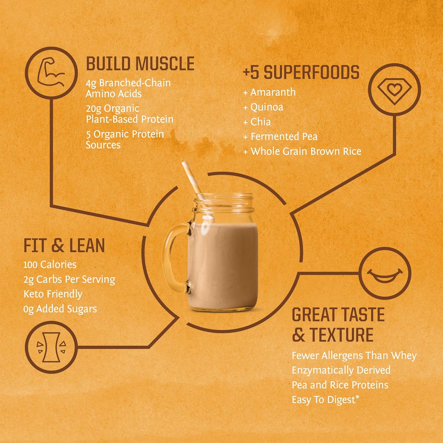 Vegan Protein Powder & Creatine Monohydrate Bundle | Unflavored, 30 Servings Each