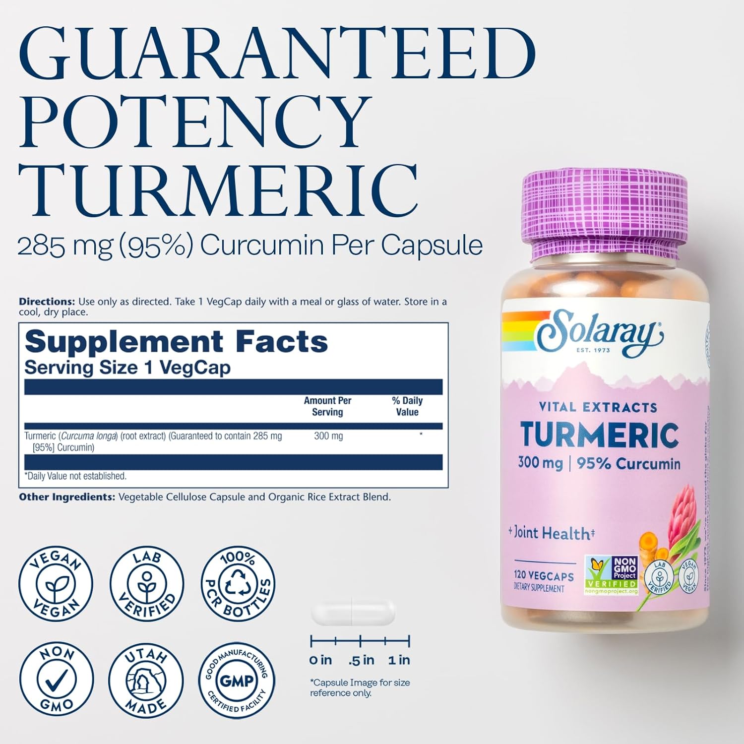 Vegan Turmeric Root Extract Capsules - 300mg with 95% Curcumin - Joint & Heart Health Support - Lab Verified - 120 CT