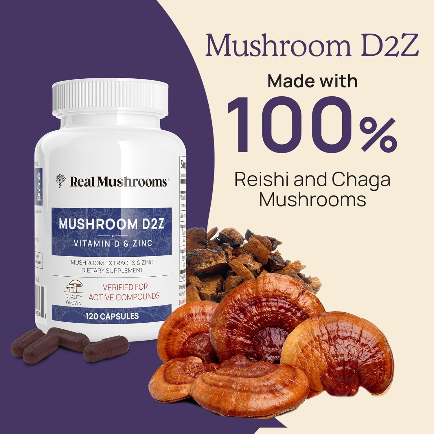 Vegan Zinc Supplements with Chaga Reishi for Immune Support - 120ct Vitamin D2 Capsules