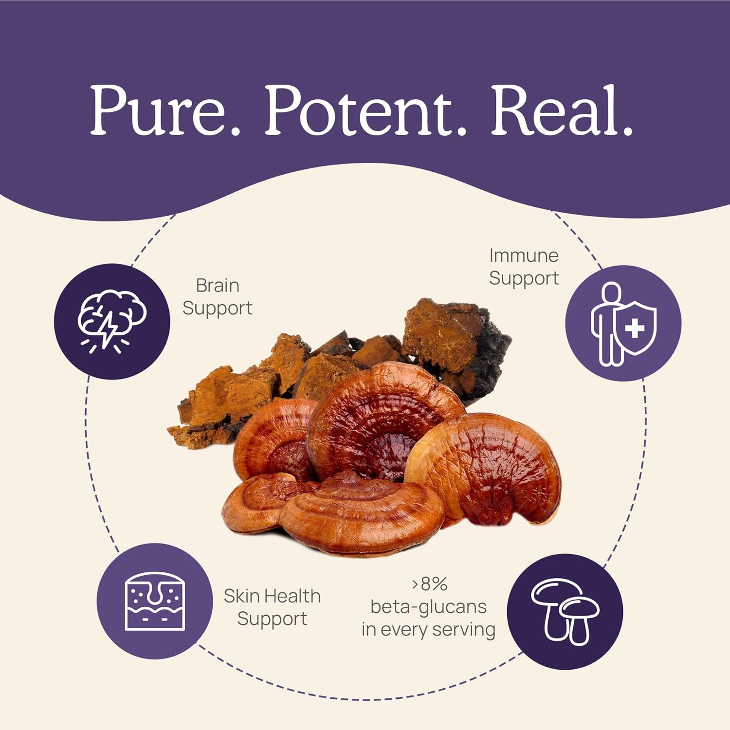 Vegan Zinc Supplements with Chaga Reishi for Immune Support - 120ct Vitamin D2 Capsules