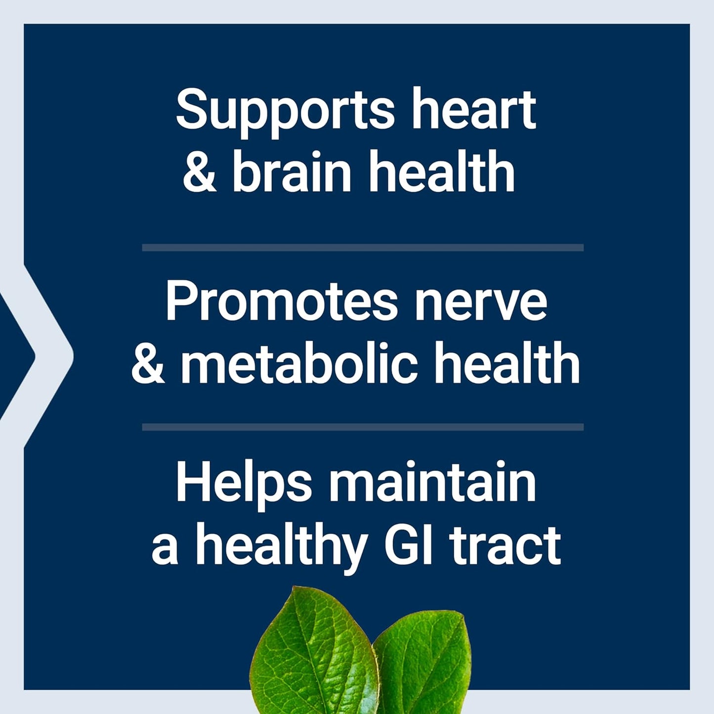 Vegetarian BioActive Folate & Vitamin B12 Capsules for Heart, Brain & Gut Health, Non-GMO, Gluten-Free - 90 Count