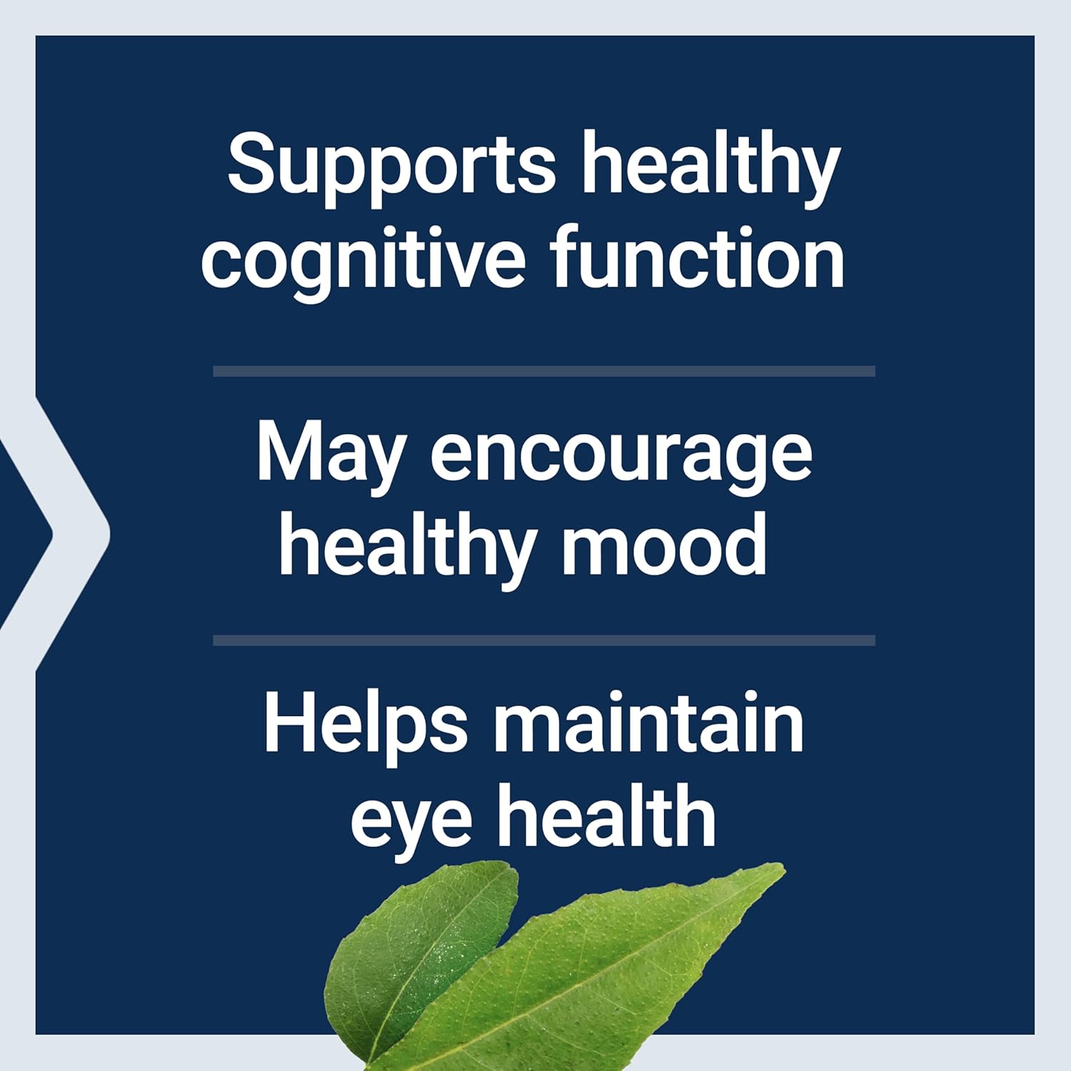 Vegetarian DHA Algae Omega-3 Softgels for Cognition, Mood, Eye Health - Gluten-Free, Non-GMO, Vegan - 30 Count