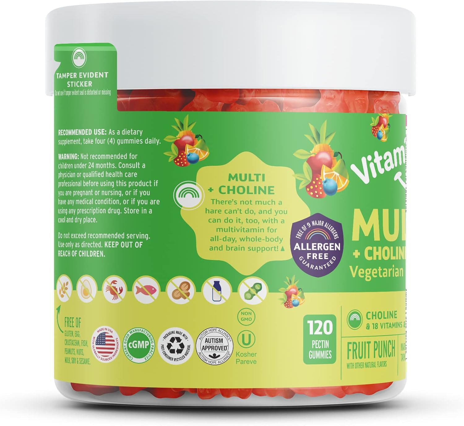 Vegetarian Multivitamin Gummies for Kids with Choline - Daily Nutritional Support for Children - Includes Vitamin C, D, E, A, B6, Zinc, Folic Acid, Selenium, Niacin, Thiamin, Biotin - 30 Day Supply